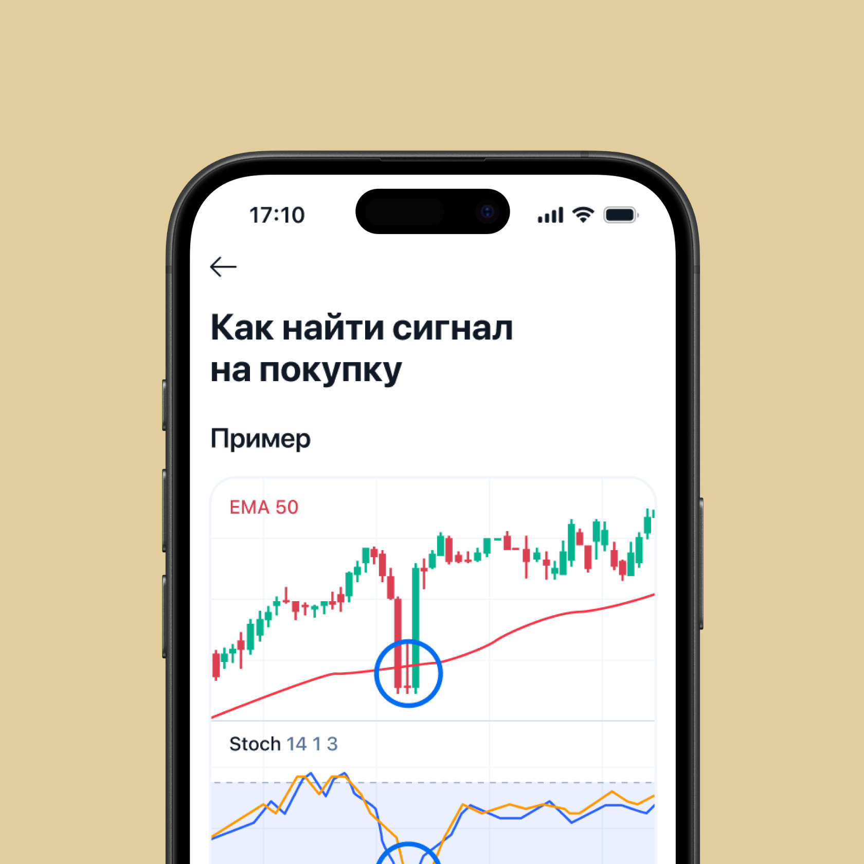БКС Мир Инвестиций — обложка проекта